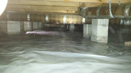 Moisture Control / Crawl Space - Envirosafe Pest Control of Orlando