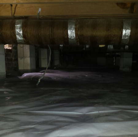 remove mold mildew crawlspace